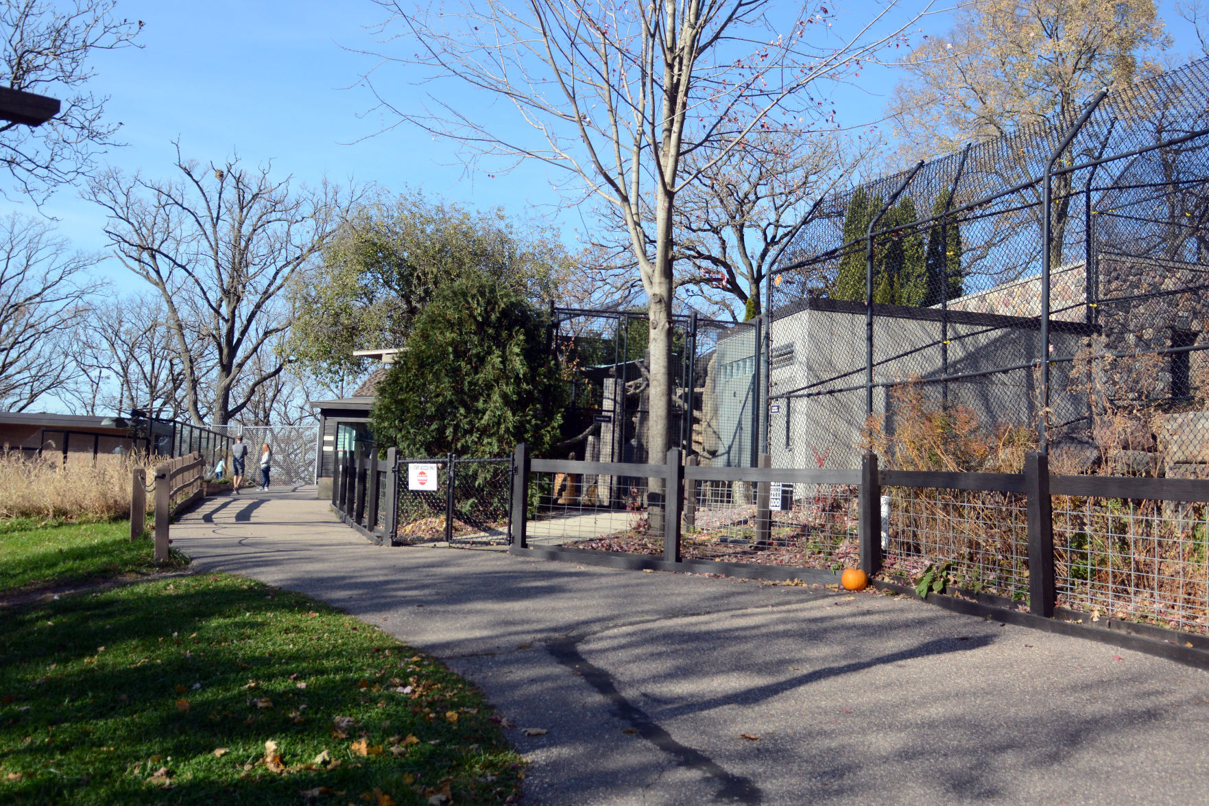 Scenes from Baraboo's Ochsner Park Zoo, Nov. 7, 2020